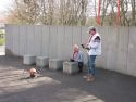 IMG 4626